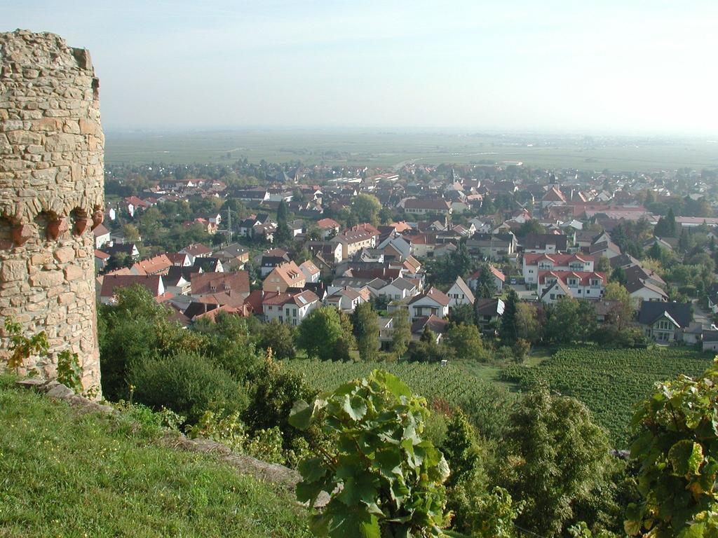 Altstadt-Residenz Manz Wachenheim an der Weinstraße Eksteriør billede